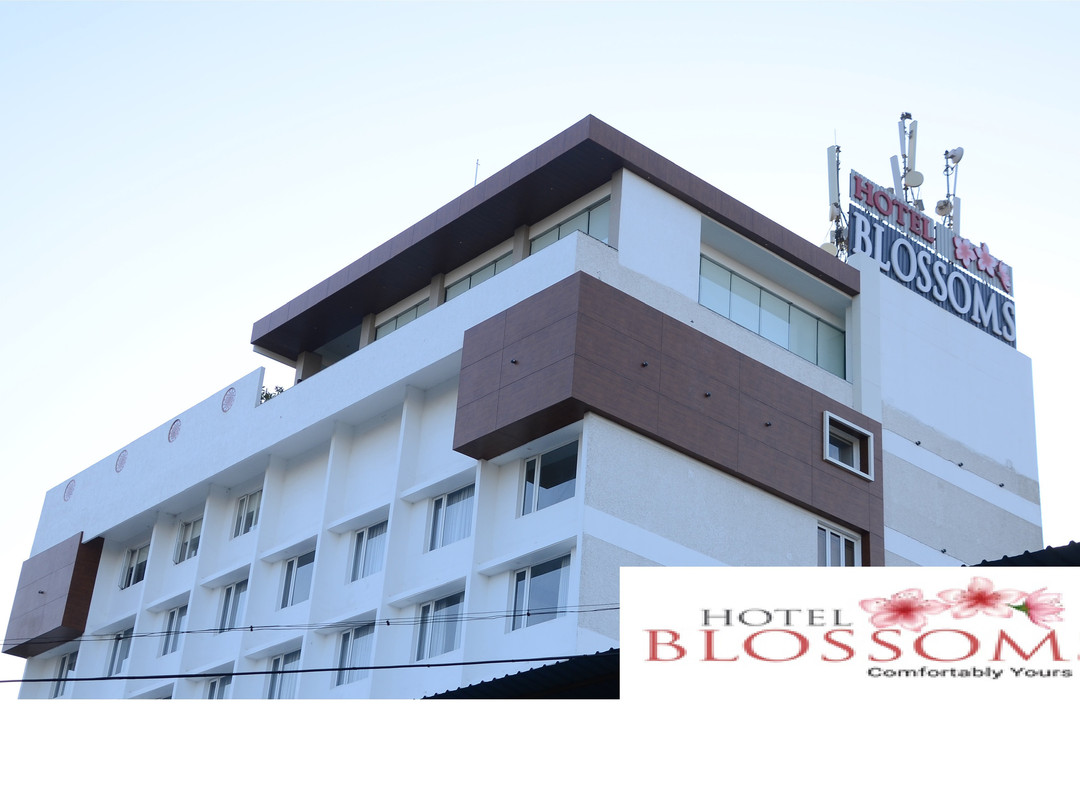 Hotel Blossoms主图