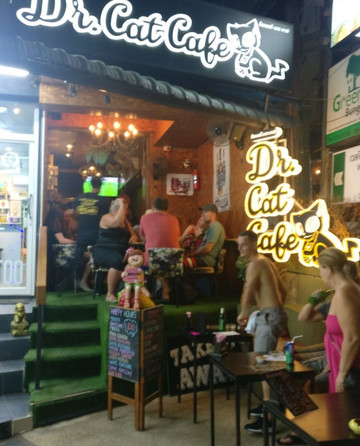 Dr. Cat Cafe-奥南必去景点