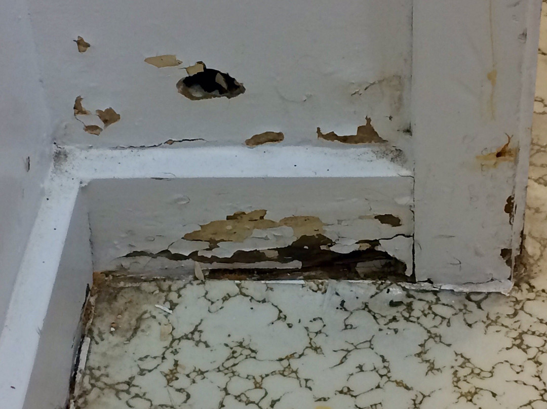 Acacia Lodge Motel主图