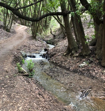圣安东尼奥县农场公园-库柏蒂诺必去景点