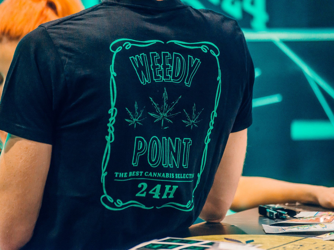 Weedy Point H24-圣贝内代托-德尔特龙托必去景点