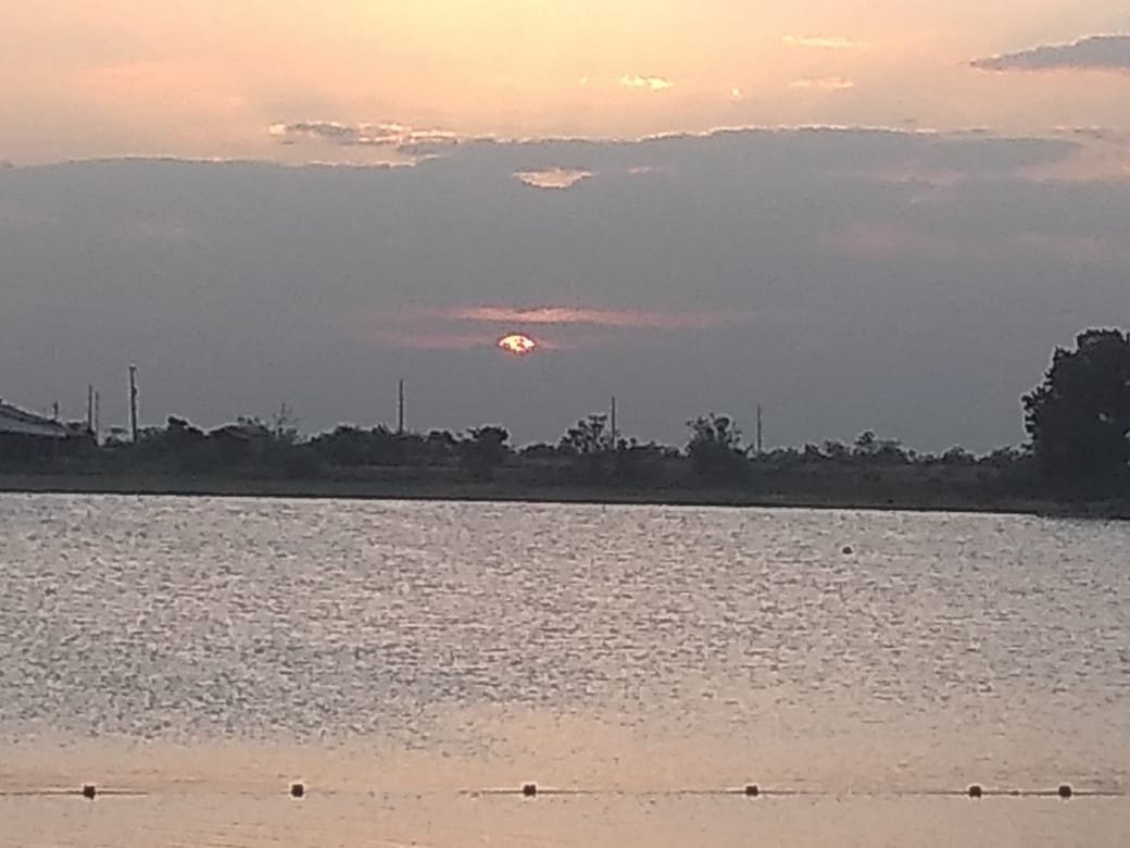 Eco Park-Boa Vista必去景点