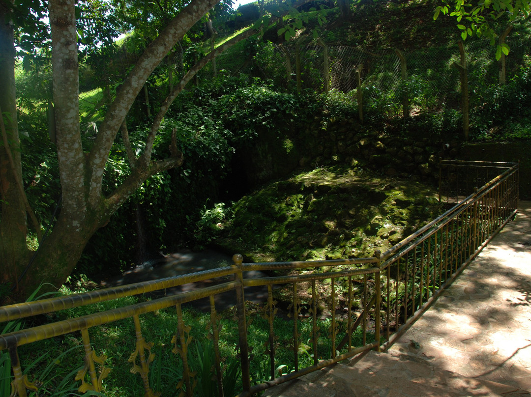 Miika Eco Resort Hotel主图