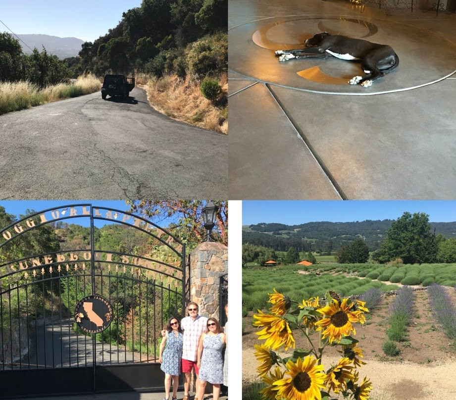 Hidden Napa Jeep Wine Private Tours景点图片