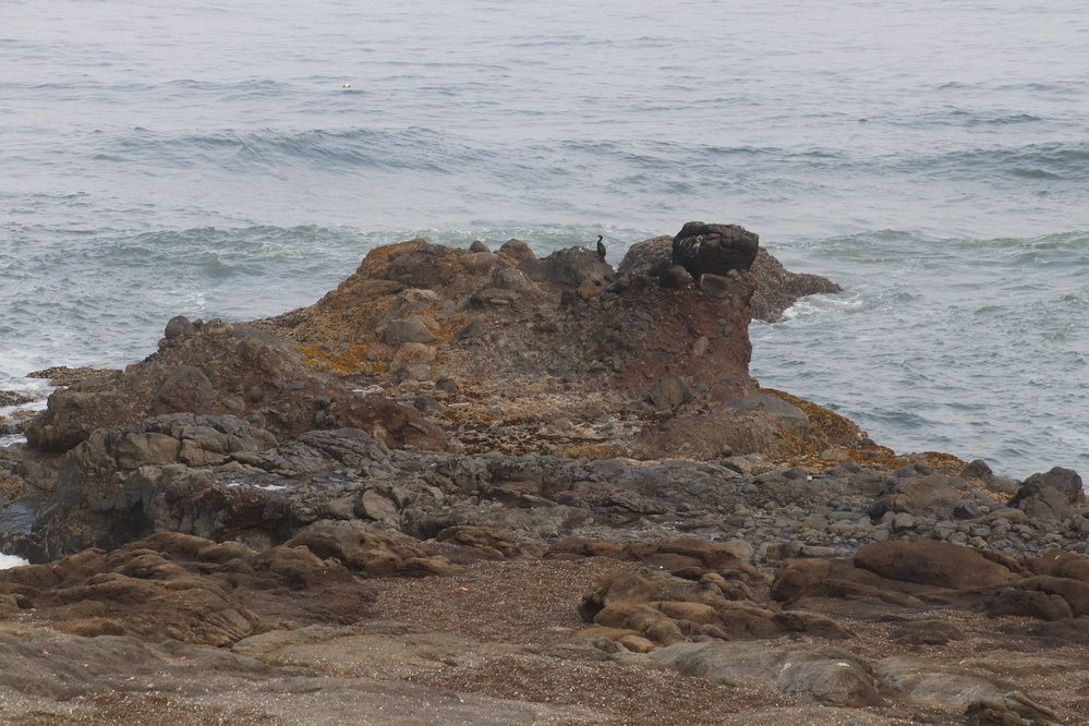 Smelt Sands State Park-亚查茨必去景点