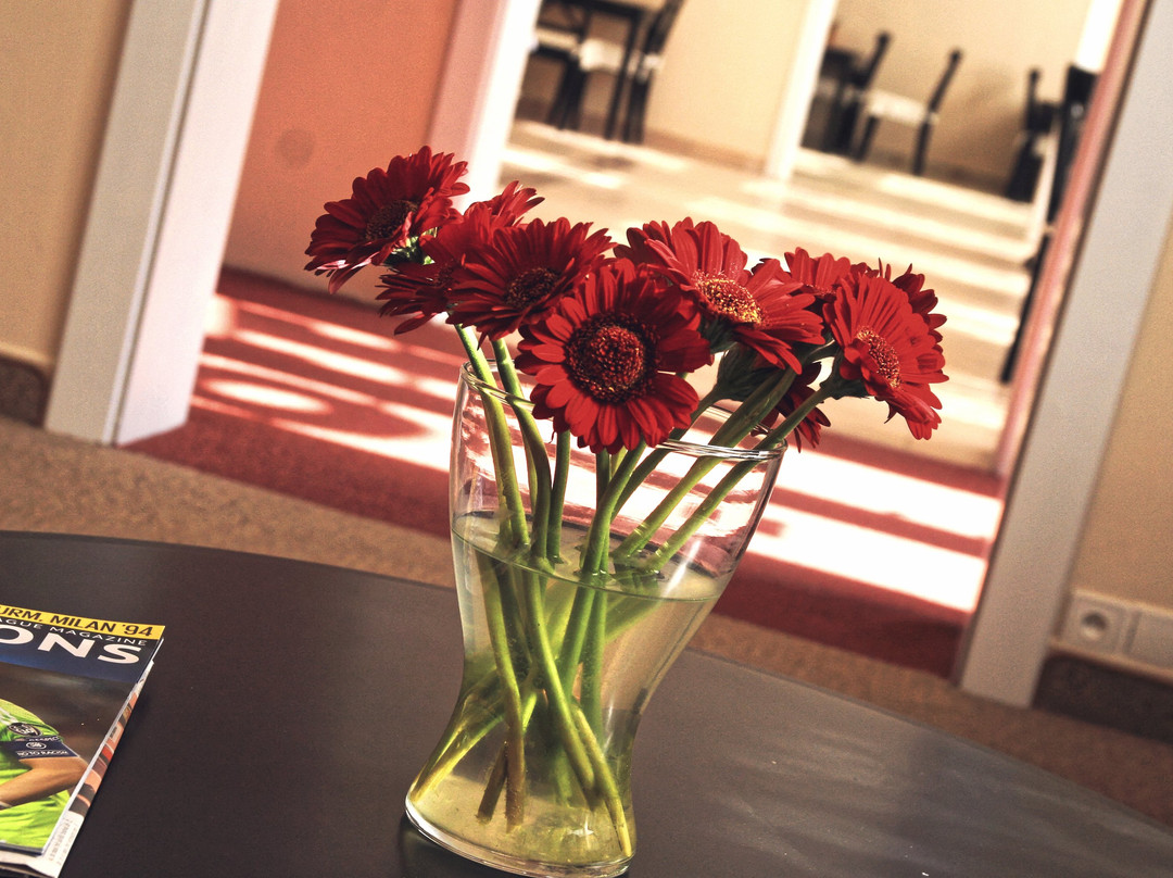 圣迈克尔酒店主图