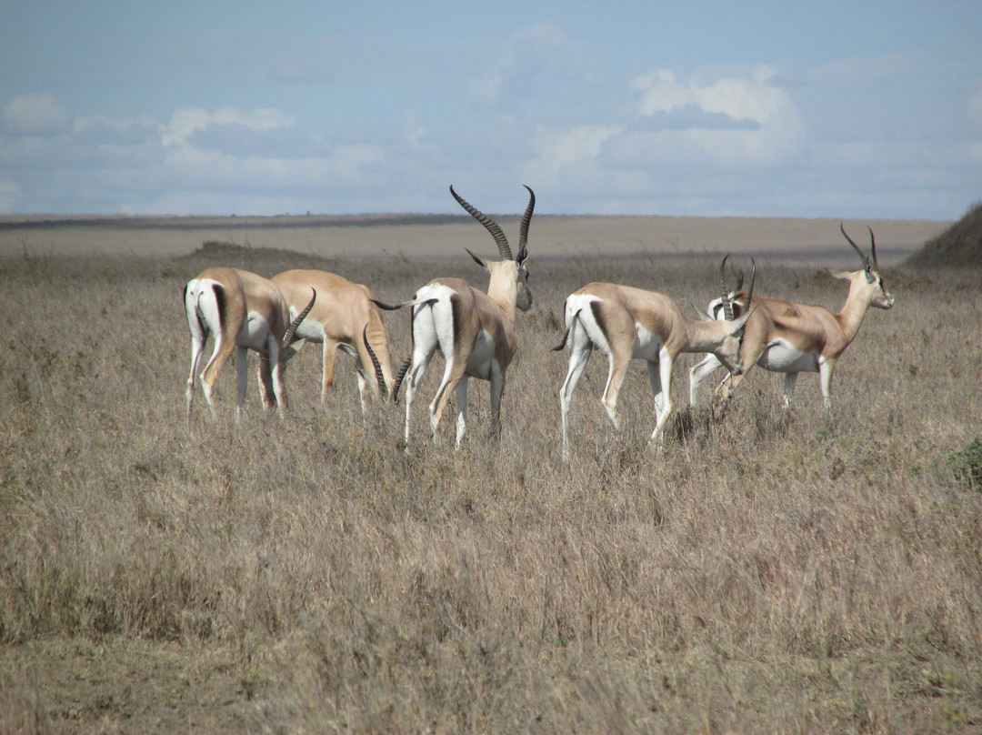 Let's View Tanzania-乞力马扎罗山国家公园必去景点