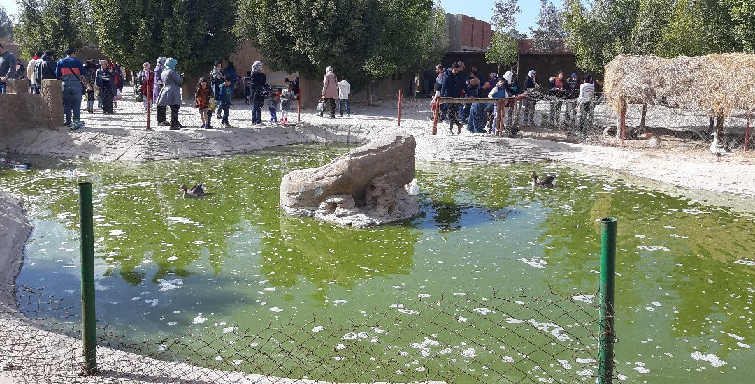 Africa Safari Park-Ash Shahid Ahmad Badawi必去景点