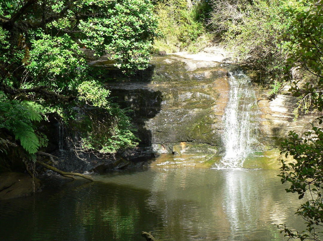 Gills Scenic Reserve景点图片