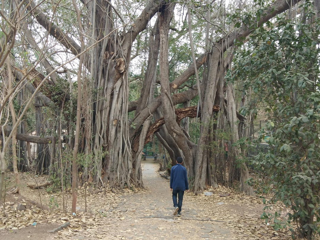 University of Pune-浦那必去景点