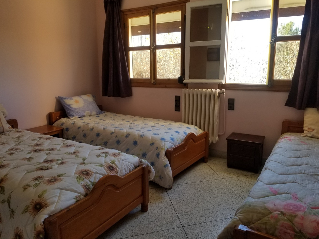 Safari Week-end主图