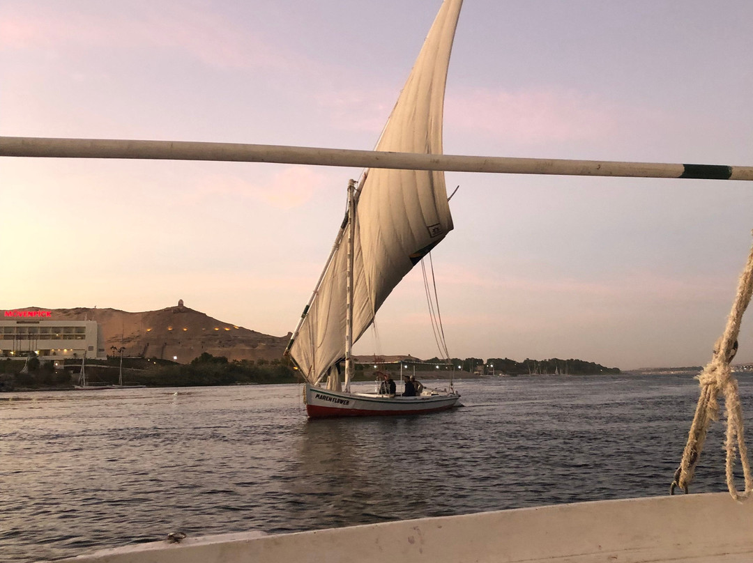 Aswan Felucca Tours景点图片