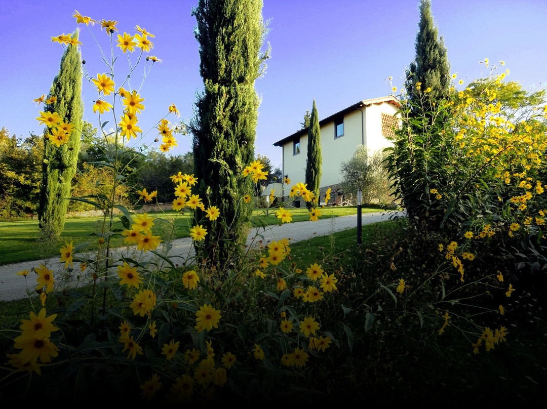 Il Poggiolo Delle Rose Bed&Breakfast主图