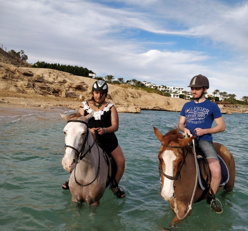 The Stable-沙姆沙伊赫必去景点