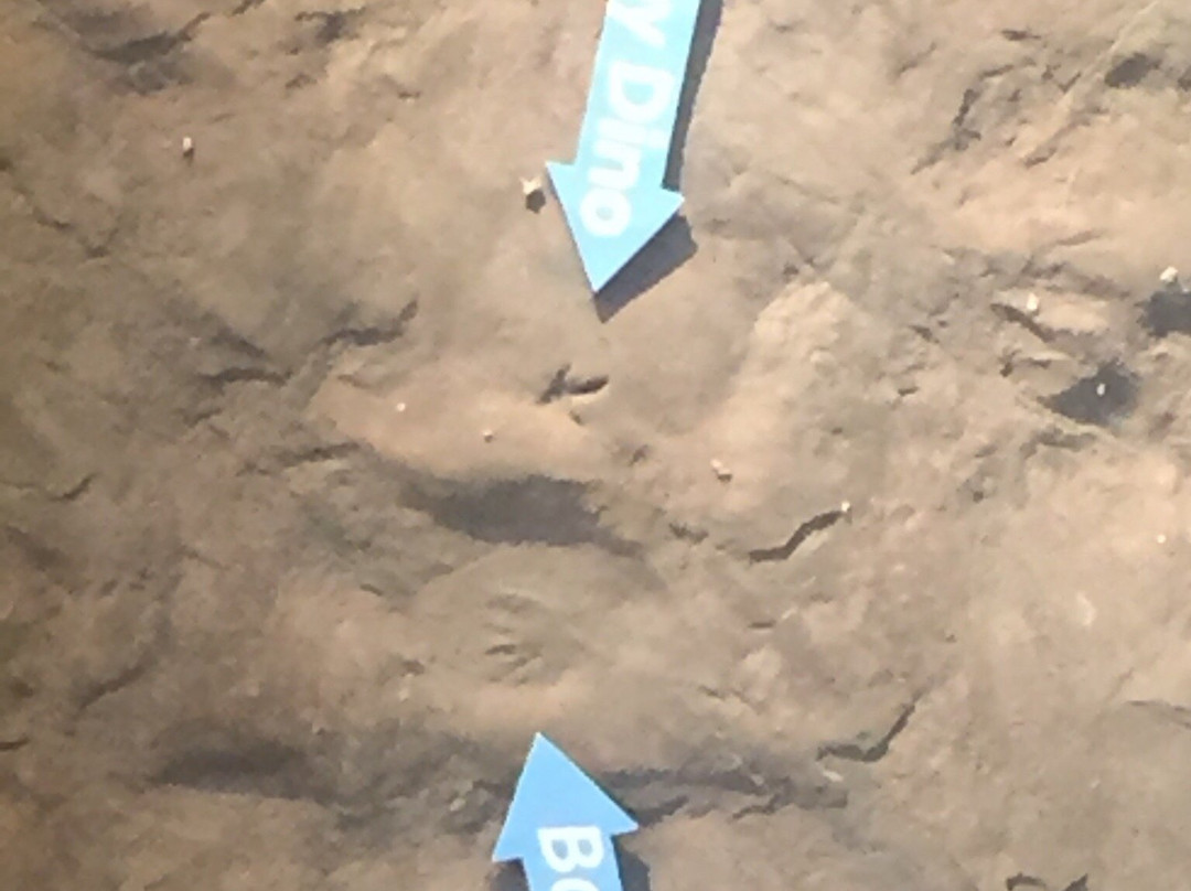 Rosenbruch World Wildlife Museum-圣乔治必去景点