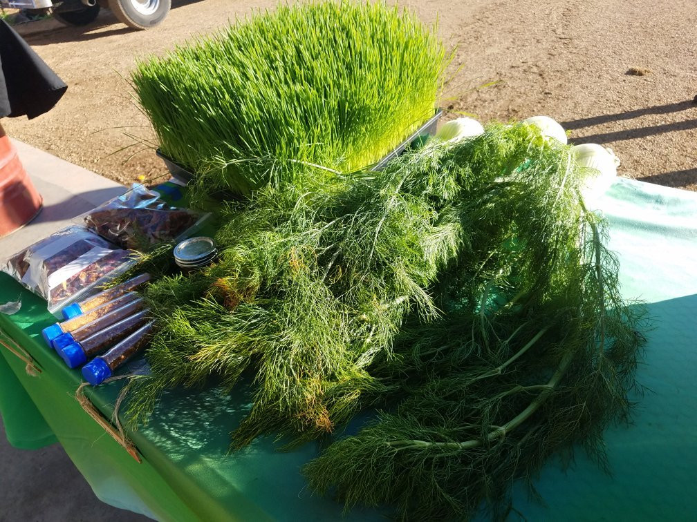 Rhibafarm-San Tan Valley必去景点