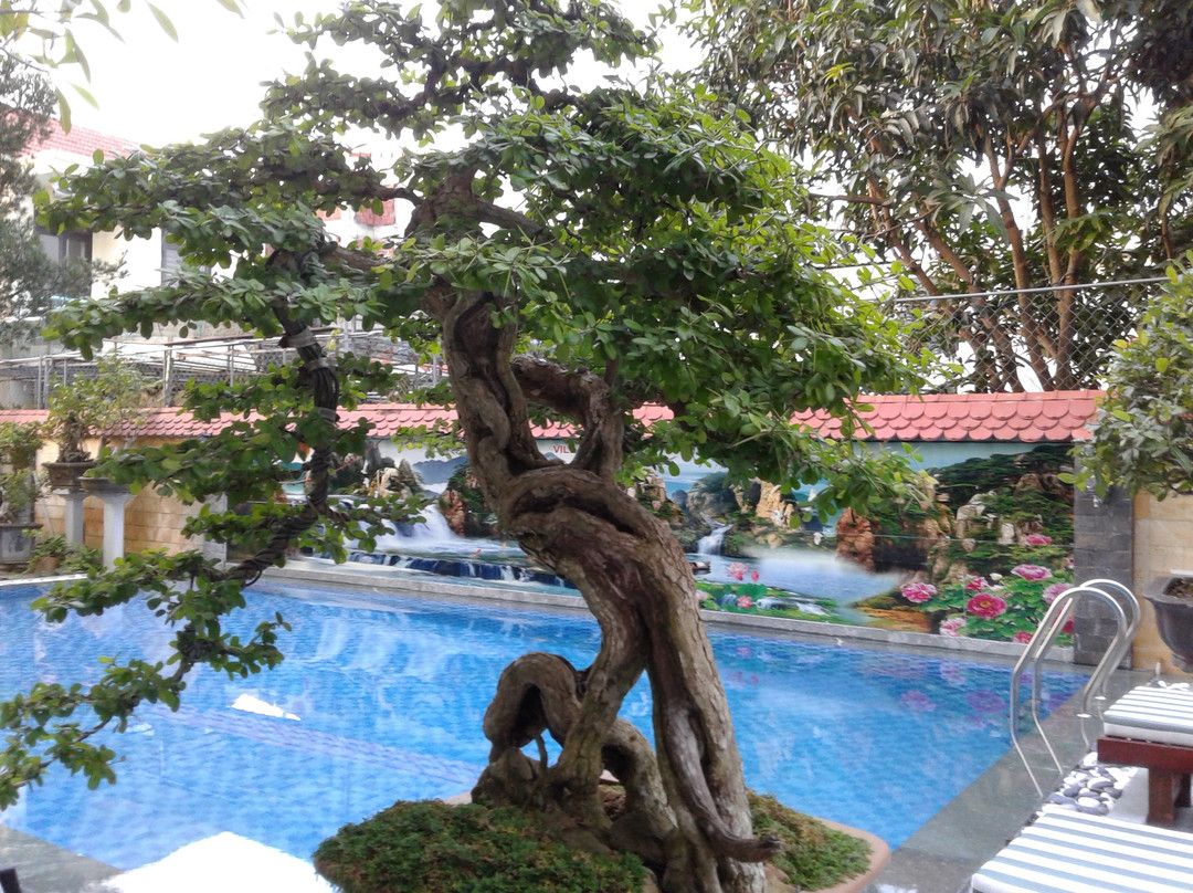 Bonsai Villa Hoi An主图