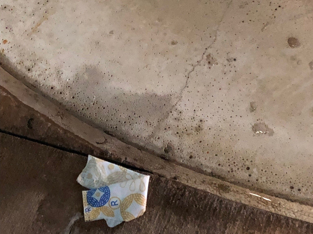 Surfari Joe's Indoor Wilderness Water Park-Watervliet必去景点