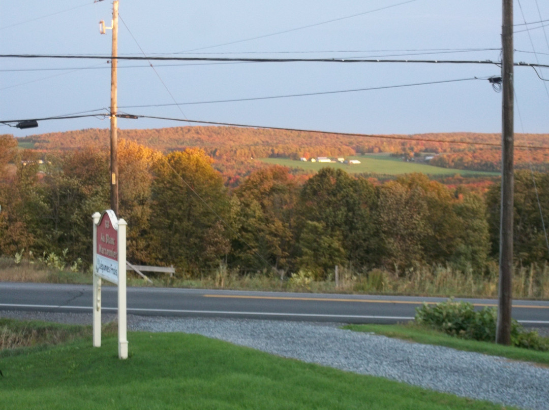 Gite Au Blanc Marronnier主图