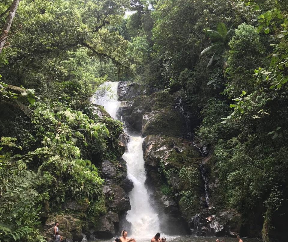 Cachoeira Do Cha-Tapirai必去景点