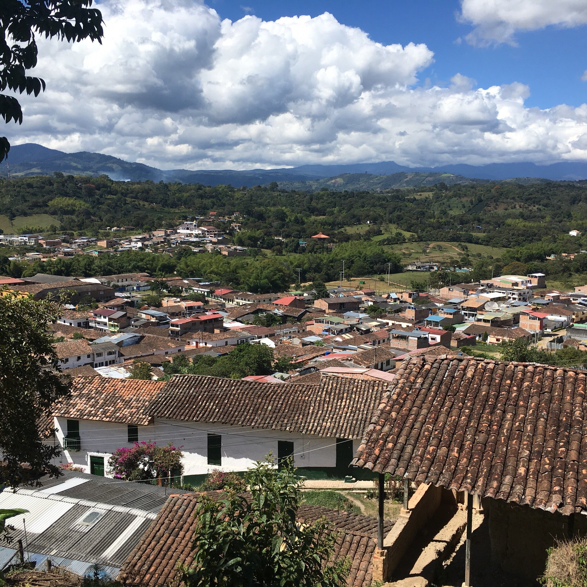 La Casa del Japones-官方
