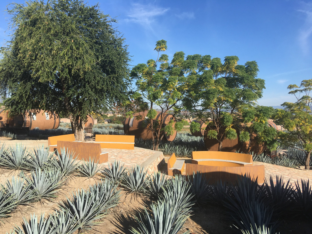 Matices Hotel de Barricas主图