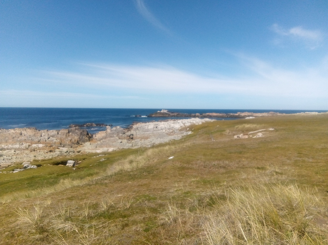 Cape Pembroke Lighthouse景点图片