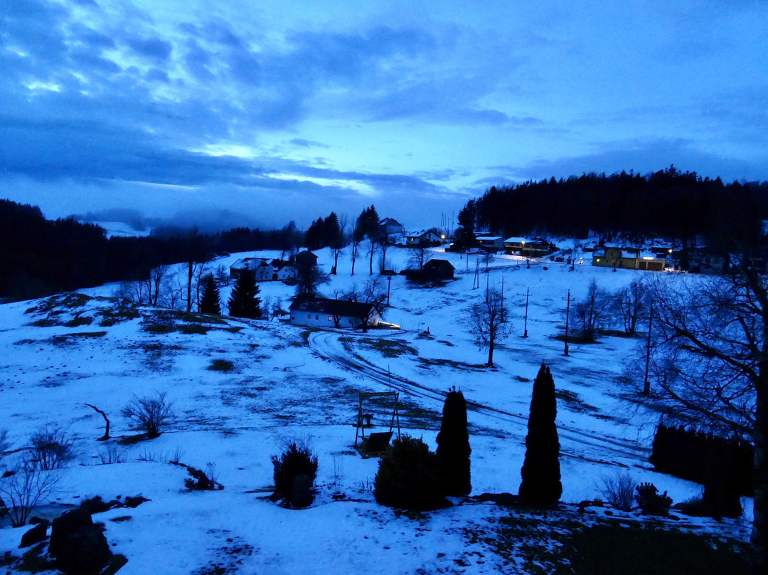 Hotel Rockenschaub主图