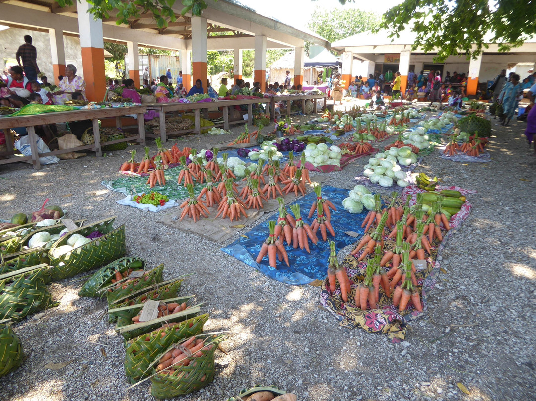 Lenakel Fresh Produce Market景点图片