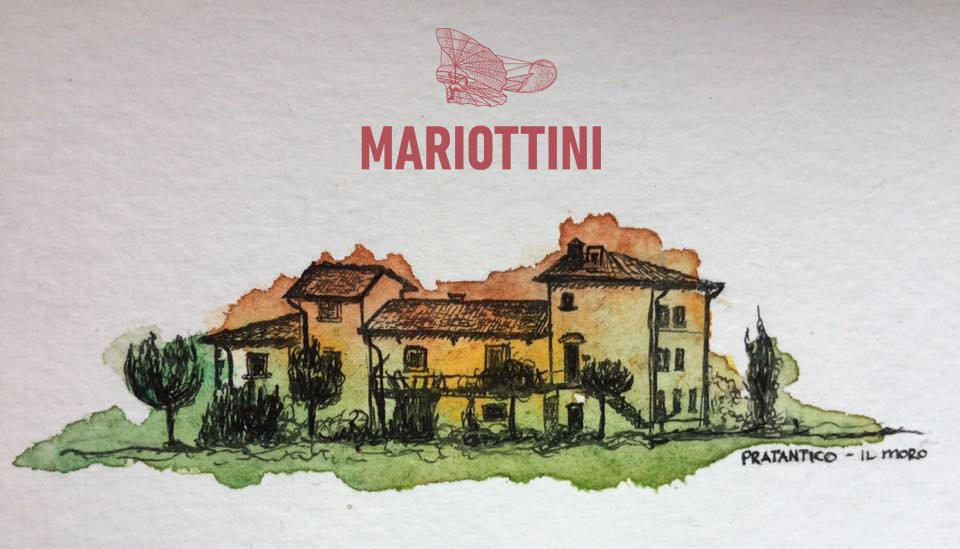 Cantina MARIOTTINI Vino & Olio景点图片