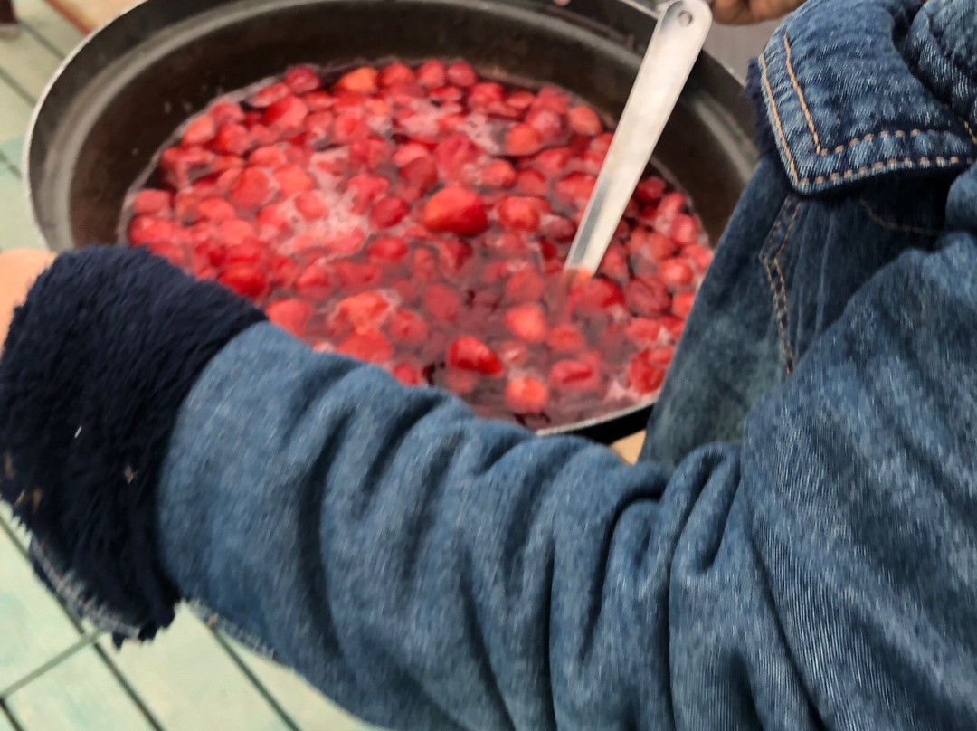 Yangsu-ri Strawberry Farm Experience-杨平郡必去景点