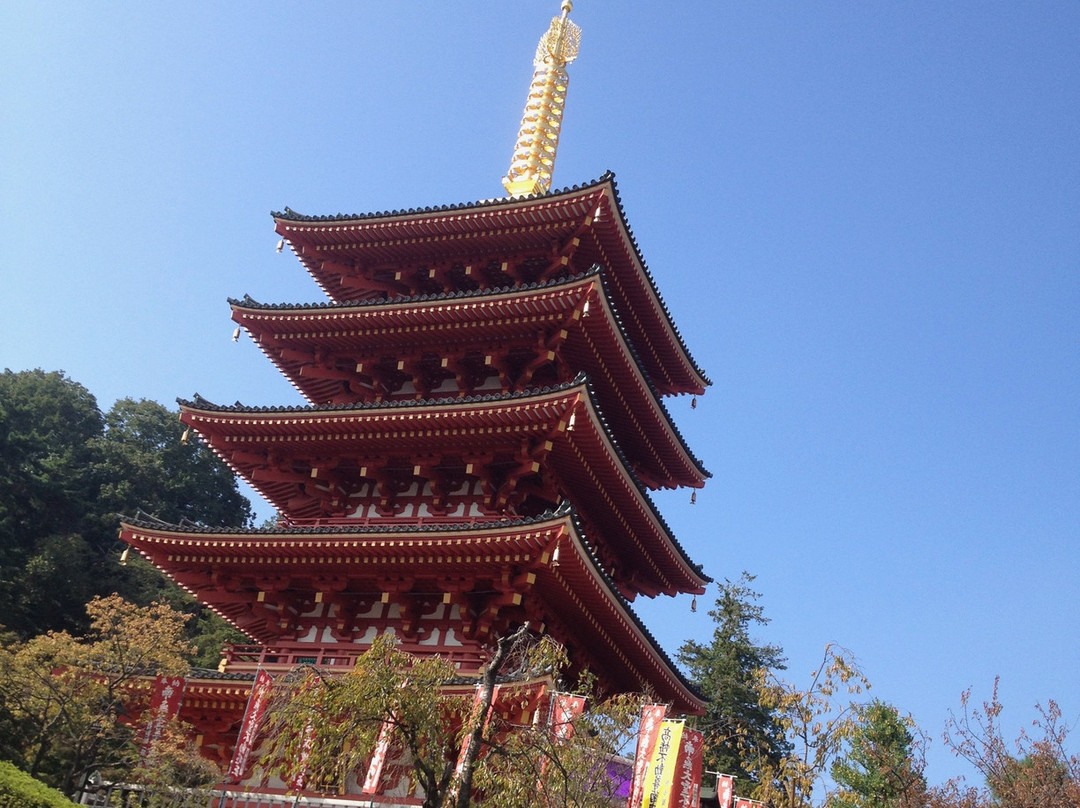 Takahata Fudoson Kongo-ji Temple景点图片
