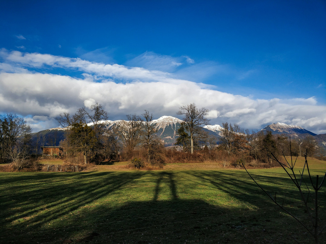 布莱德酒店住宿-阿尔卑旅馆