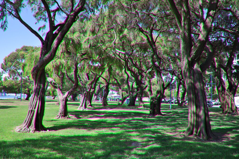 Bell Park景点图片