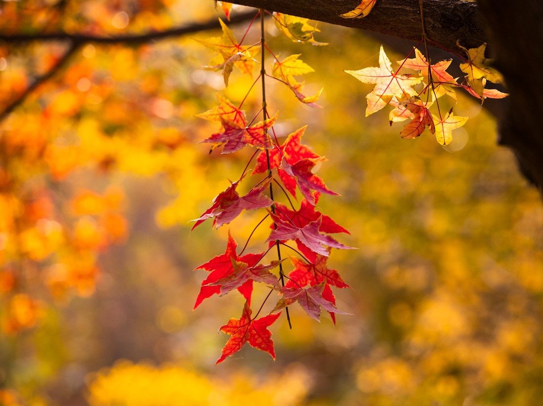 石门公园-石家庄市必去景点