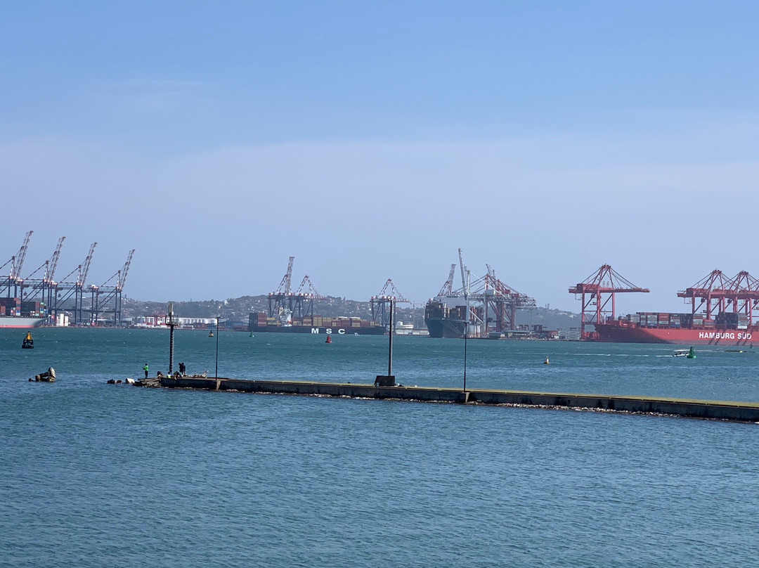 Port Natal Maritime Museum景点图片