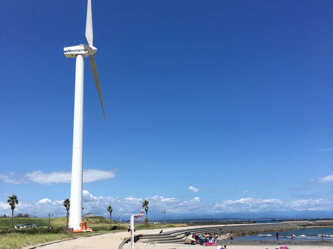 Marine Park Omaezaki景点图片