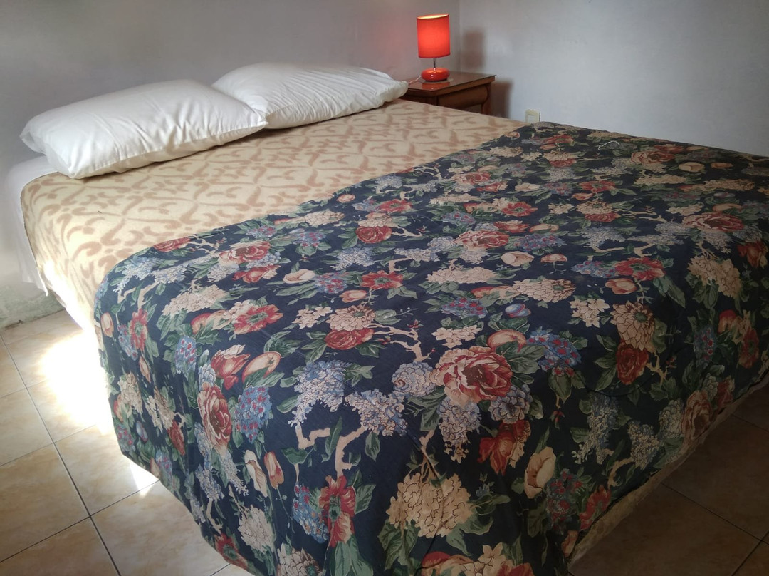 La Calaguala Hostel主图