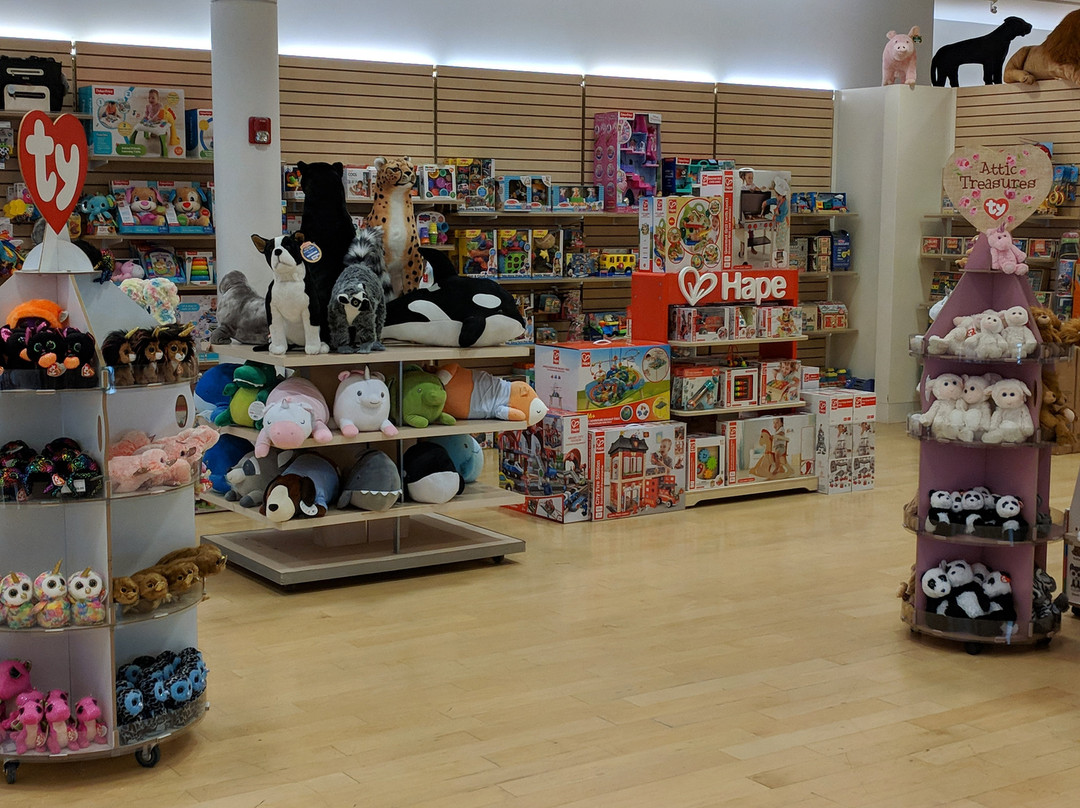 Zoo Rides-Kingston必去景点