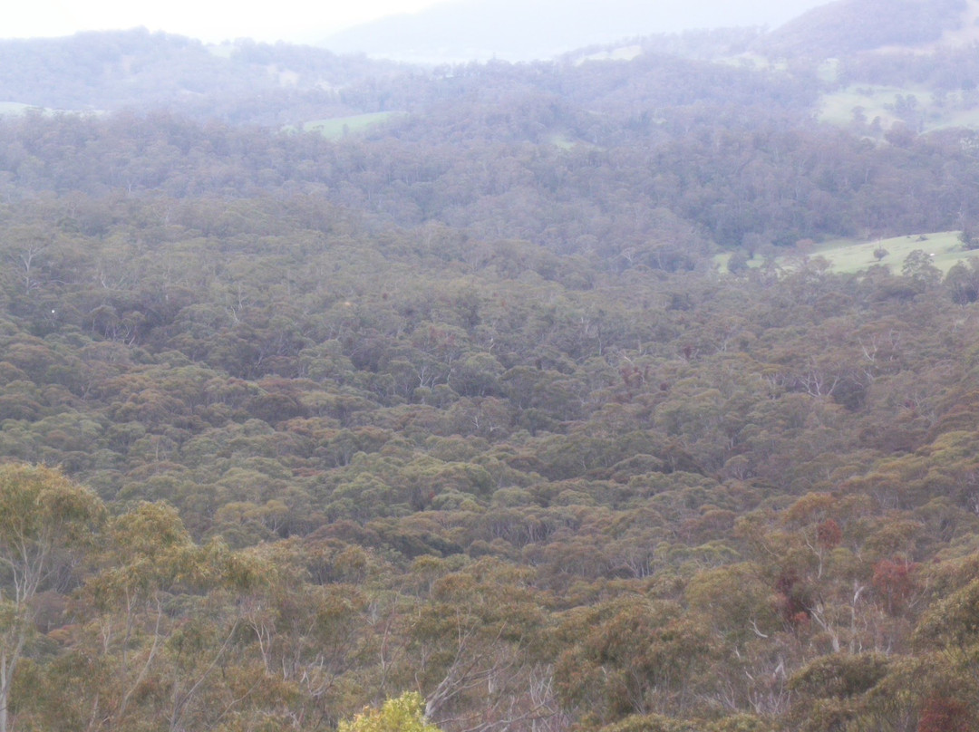 Hampton Halfway Hotel Motel主图