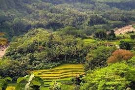Curug Tujuh Cibolang景点图片