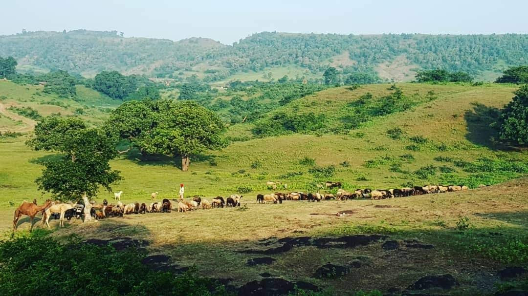 Hotel Fun N Food主图