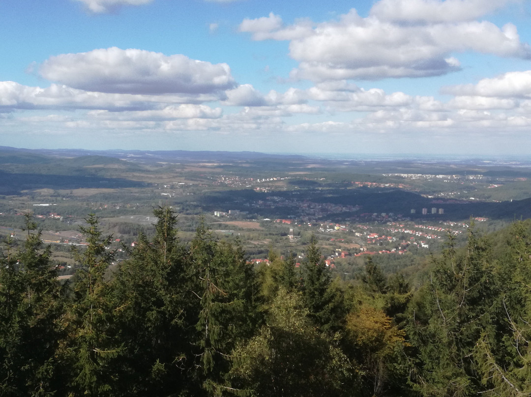 Wieza widokowa na Borowej景点图片