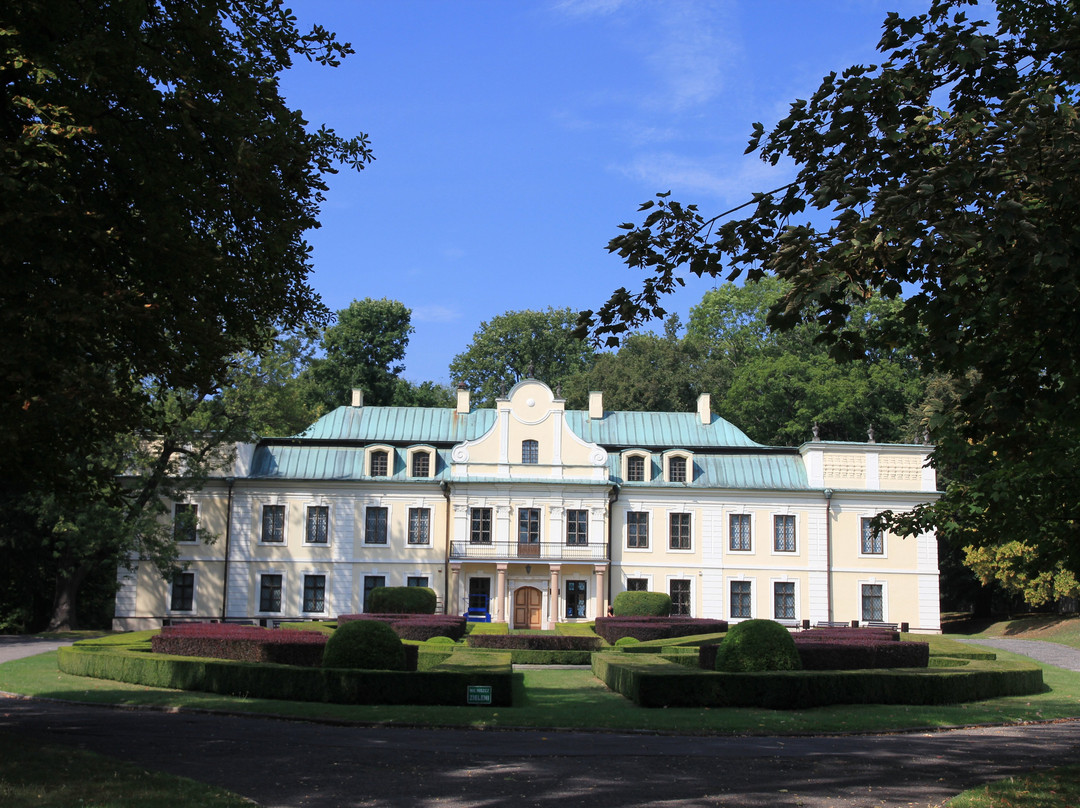 Pałac Mieroszewskich景点图片