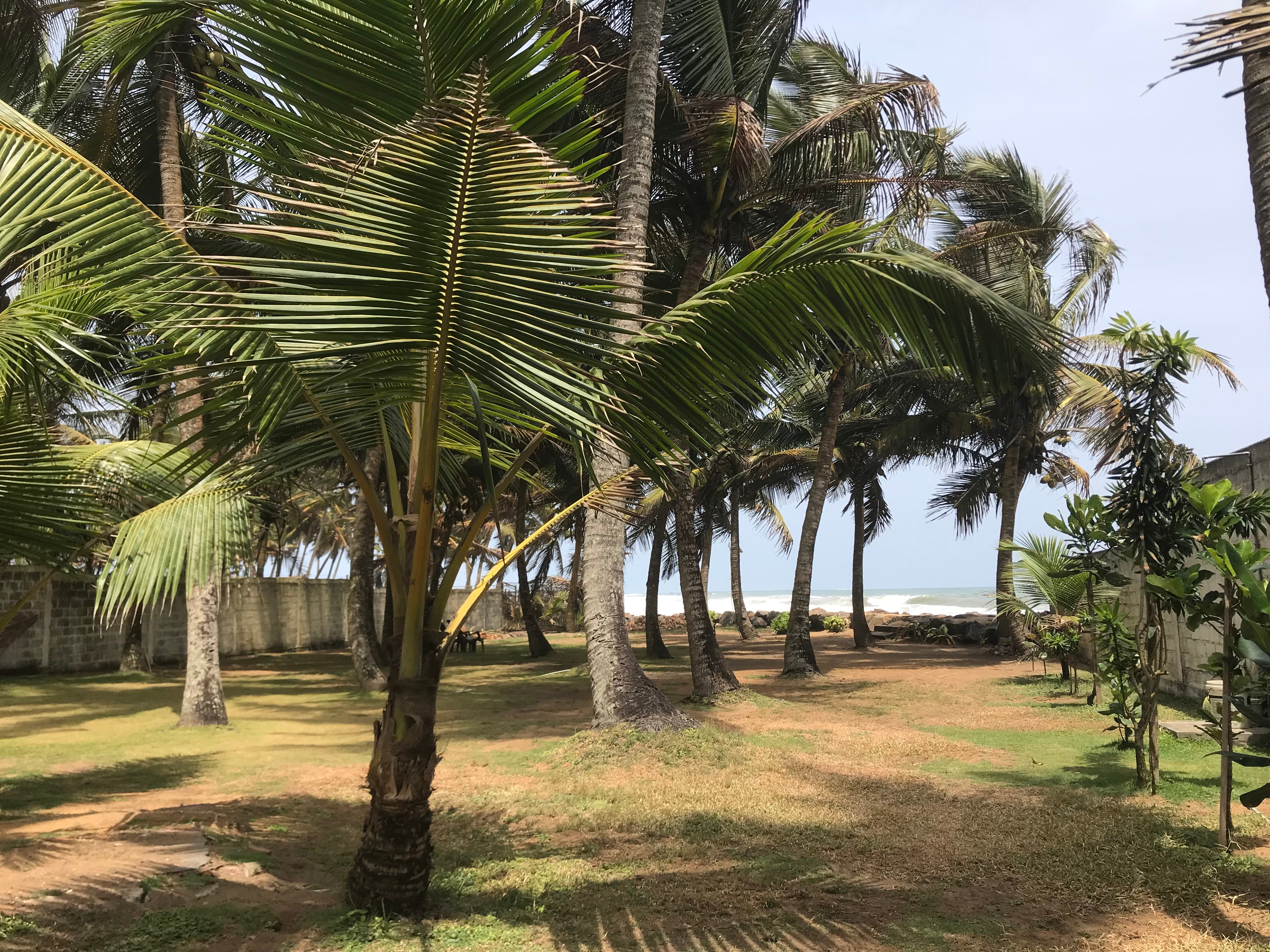 Kodi Beach Home-泳池