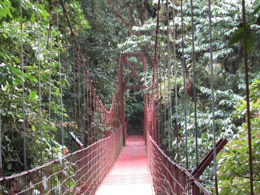 Monteverde Cloud Forest Biological Reserve景点图片