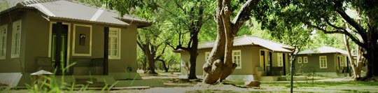 CIC Agri Resort - Windsor Park主图