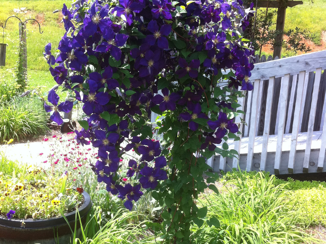 Joanie M Mcdavid Home-金斯波特必去景点