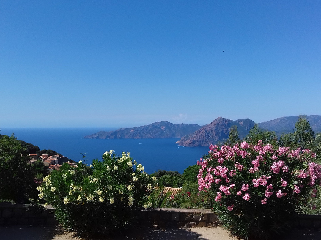 Hotel Scandola主图