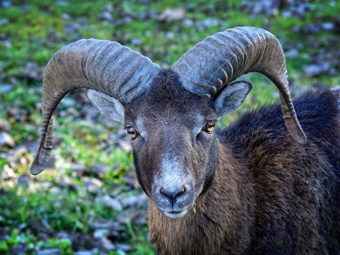 Sardinia by Local Guide-卡利亚里省必去景点